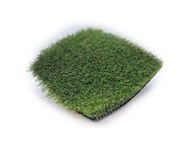 Merion Apex Turf