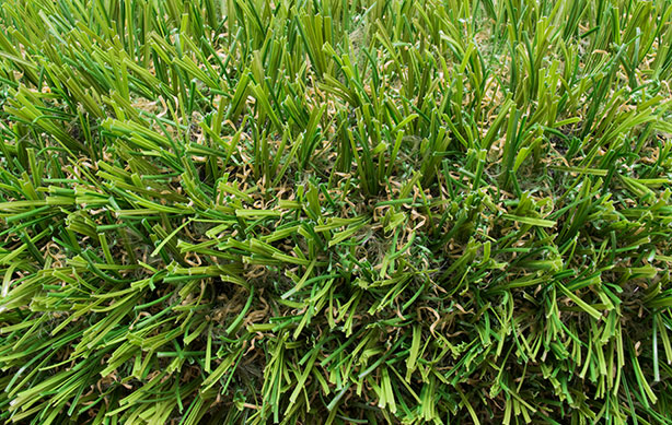 Apex Synthetic Turf Artificial Grass Blade Closeup